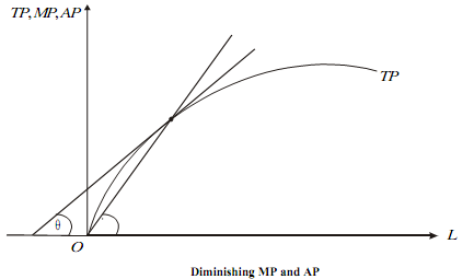 195_Graphical Representation of Various Returns1.png